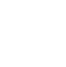 Free car inspection